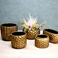 27-590-Goud-1