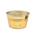 38-731-Goud-0